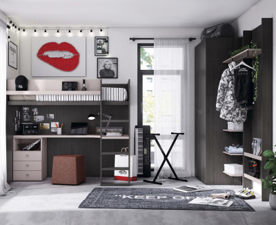 Chambre avec lit mezzanine avec bureau et armoire avec meubles à étagères